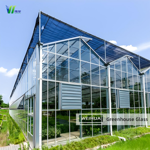 Закаленное тепличное стекло с высоким коэффициентом пропускания (прозрачные и рассеянные узоры)